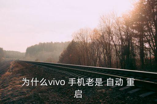 為什么vivo 手機(jī)老是 自動(dòng) 重啟