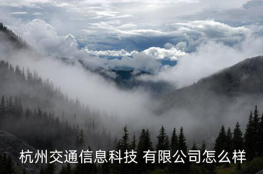  杭州交通信息科技 有限公司怎么樣