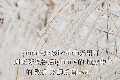 iphone連接iwatch無用開通藍牙連接后iphone的 健康中的 數(shù)據(jù) 來源沒有iwa...