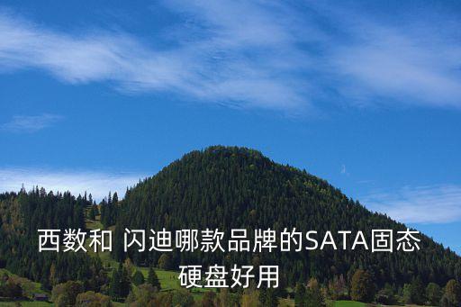 西數(shù)和 閃迪哪款品牌的SATA固態(tài)硬盤好用