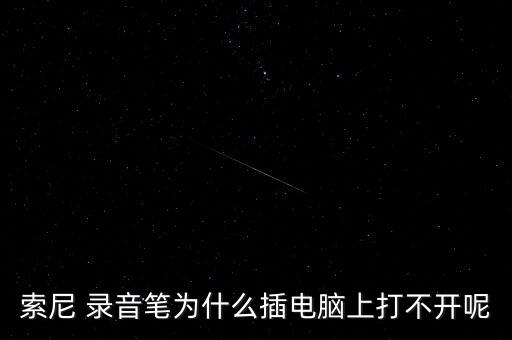 錄音筆數(shù)據(jù)線