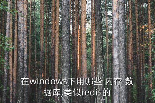 內(nèi)存型數(shù)據(jù)庫(kù),oracle查看數(shù)據(jù)庫(kù)內(nèi)存