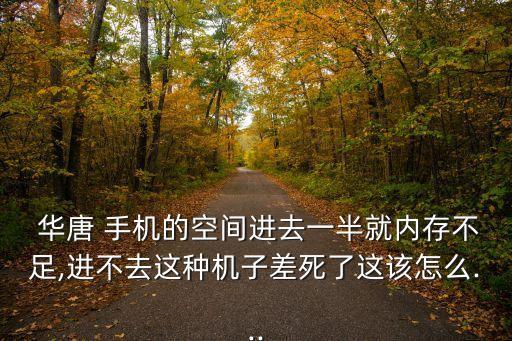 華唐 手機的空間進去一半就內(nèi)存不足,進不去這種機子差死了這該怎么...