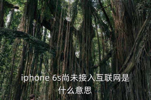 蘋果6s不能用數(shù)據(jù)上網(wǎng)嗎