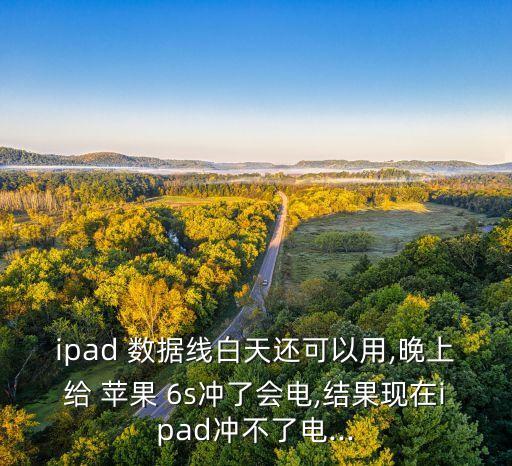 ipad 數(shù)據(jù)線白天還可以用,晚上給 蘋(píng)果 6s沖了會(huì)電,結(jié)果現(xiàn)在ipad沖不了電...