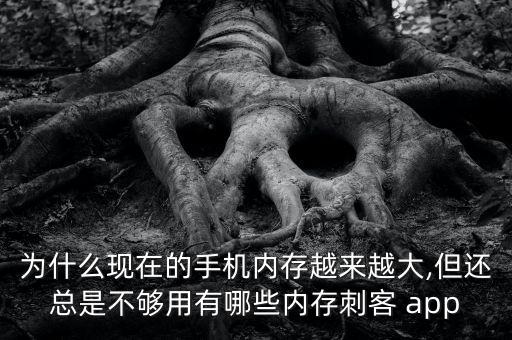 app數(shù)據(jù)占用空間,大眾點評APP占用空間大
