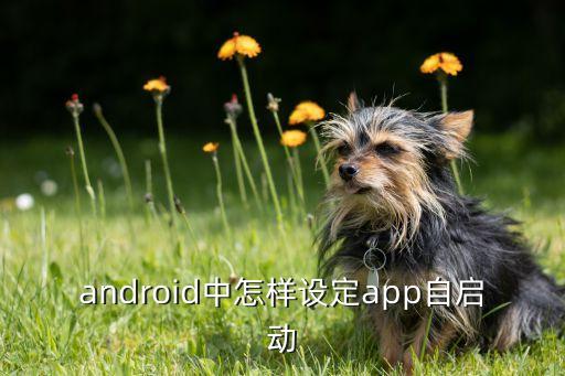 android中怎樣設(shè)定app自啟動(dòng)