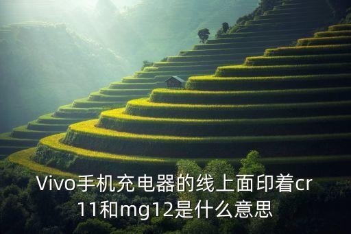 MG11數(shù)據(jù)線