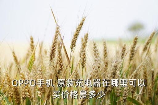 OPPO手機(jī) 原裝充電器在哪里可以買價(jià)格是多少