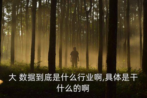 大 數(shù)據(jù)到底是什么行業(yè)啊,具體是干什么的啊