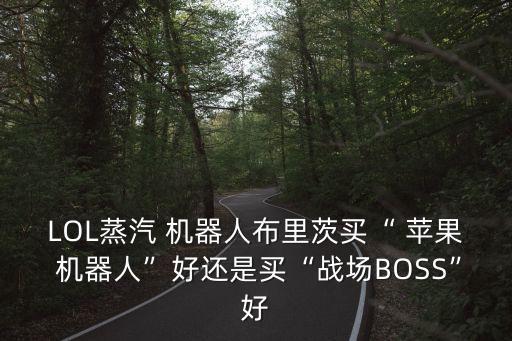 LOL蒸汽 機(jī)器人布里茨買“ 蘋果 機(jī)器人”好還是買“戰(zhàn)場BOSS”好