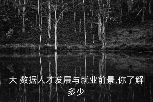 大數(shù)據(jù) 網(wǎng)絡安全 人工智能,網(wǎng)絡安全和人工智能哪個前景好