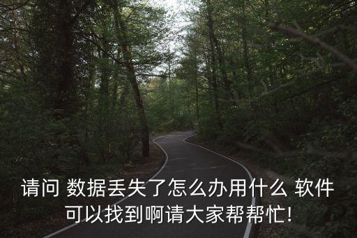 請問 數(shù)據(jù)丟失了怎么辦用什么 軟件可以找到啊請大家?guī)蛶兔?