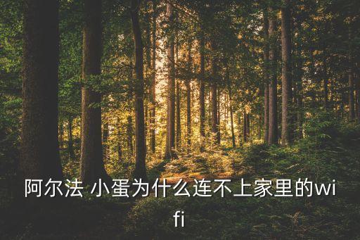 阿爾法 小蛋為什么連不上家里的wifi