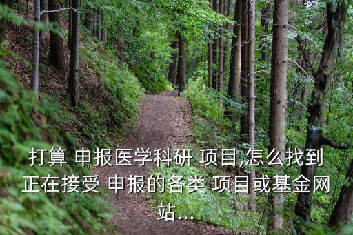 大數(shù)據(jù) 項目申報,項目申報是做什么的