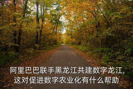  阿里巴巴聯(lián)手黑龍江共建數(shù)字龍江,這對促進數(shù)字農(nóng)業(yè)化有什么幫助