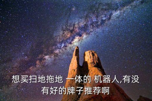 想買掃地拖地 一體的 機器人,有沒有好的牌子推薦啊