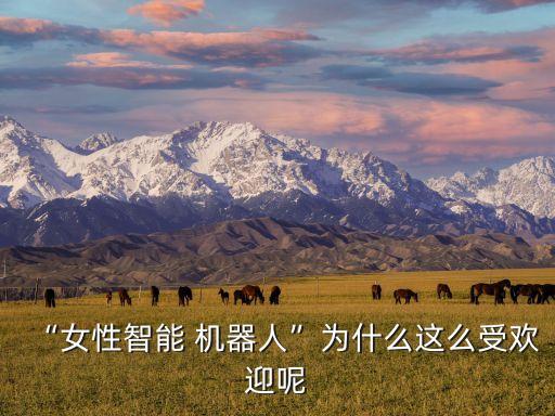 “女性智能 機(jī)器人”為什么這么受歡迎呢