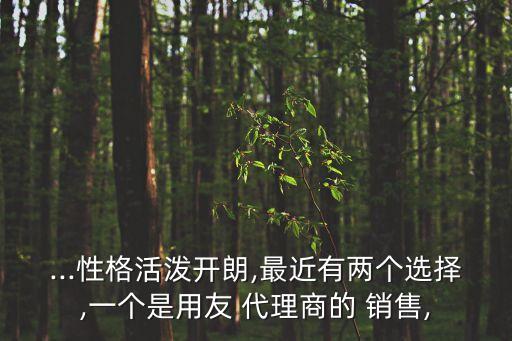 ...性格活潑開朗,最近有兩個(gè)選擇,一個(gè)是用友 代理商的 銷售,