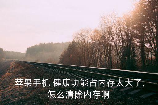  蘋果手機(jī) 健康功能占內(nèi)存太大了,怎么清除內(nèi)存啊
