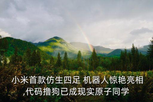 接待機(jī)器人 豹小米