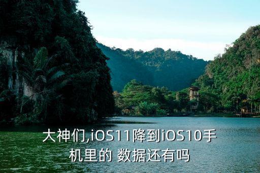 ios11降級(jí)會(huì)抹掉數(shù)據(jù)嗎,蘋果手機(jī)抹掉所有數(shù)據(jù)系統(tǒng)會(huì)降級(jí)嗎