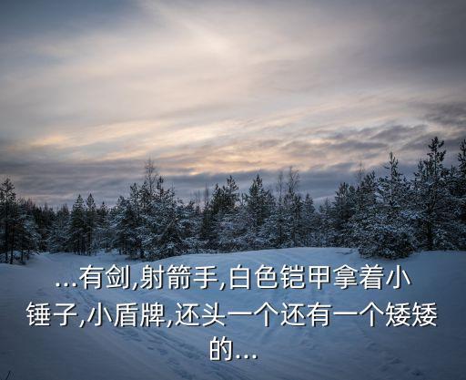 ...有劍,射箭手,白色鎧甲拿著小錘子,小盾牌,還頭一個還有一個矮矮的...