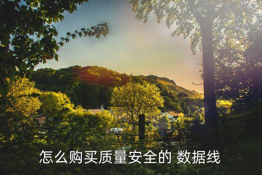 怎么購(gòu)買質(zhì)量安全的 數(shù)據(jù)線