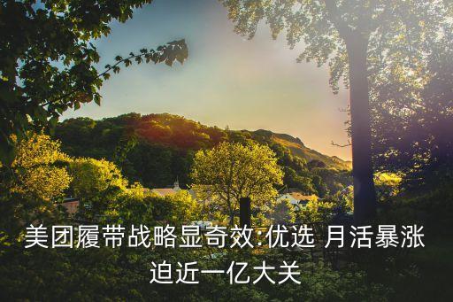 更美app月活數(shù)據(jù)