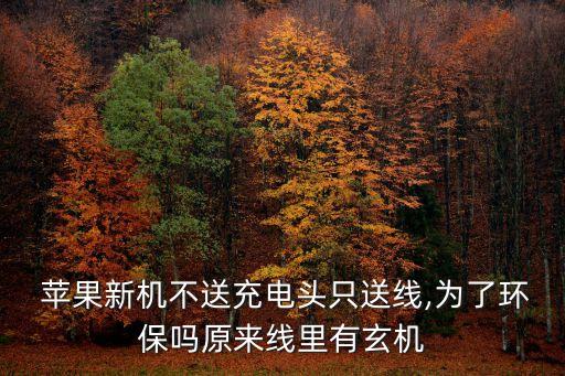 蘋果數(shù)據(jù)線 超強