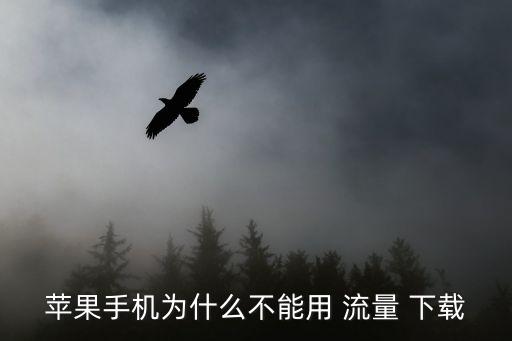 蘋果手機(jī)為什么不能用 流量 下載