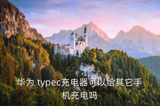 華為 typec充電器可以給其它手機(jī)充電嗎