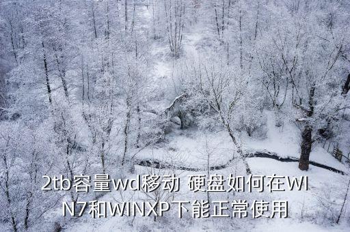 2tb容量wd移動(dòng) 硬盤(pán)如何在WIN7和WINXP下能正常使用