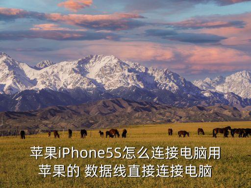 iphone5s用的數(shù)據(jù)線,iPhone5s數(shù)據(jù)線