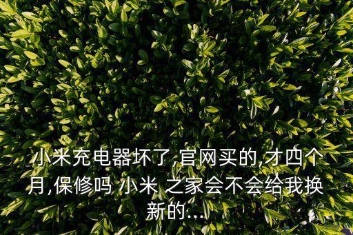 小米之家數(shù)據(jù)線