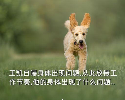 王凱微博增長數(shù)據(jù)