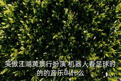 makex機(jī)器人收球裝置