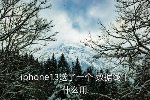 iphone13送了一個(gè) 數(shù)據(jù)線干什么用