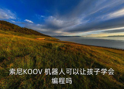 索尼KOOV 機(jī)器人可以讓孩子學(xué)會(huì)編程嗎