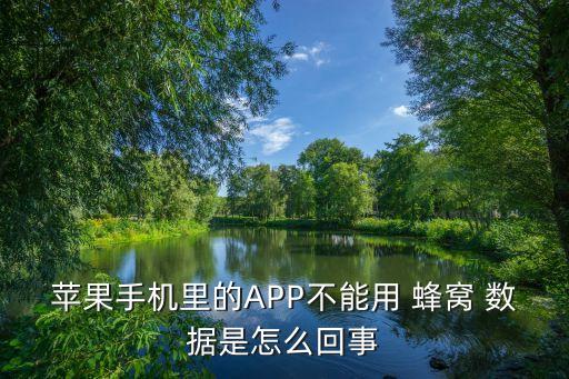 蘋果手機(jī)里的APP不能用 蜂窩 數(shù)據(jù)是怎么回事