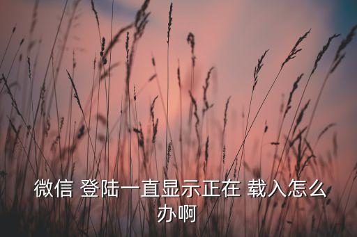  微信 登陸一直顯示正在 載入怎么辦啊
