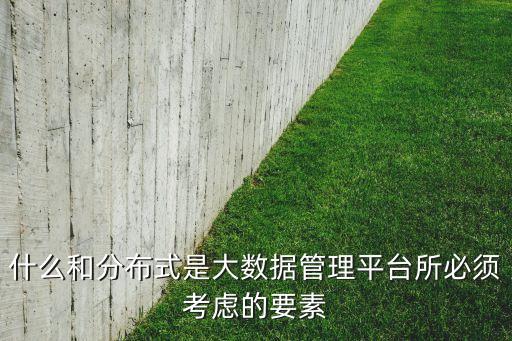 什么和分布式是大數(shù)據(jù)管理平臺所必須考慮的要素