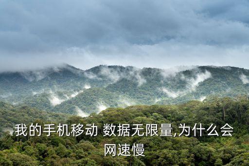 我的手機(jī)移動 數(shù)據(jù)無限量,為什么會網(wǎng)速慢