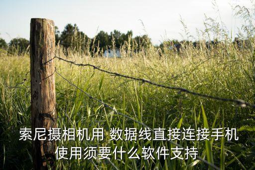  索尼攝相機用 數(shù)據(jù)線直接連接手機使用須要什么軟件支持