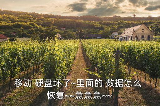 移動(dòng) 硬盤壞了~里面的 數(shù)據(jù)怎么 恢復(fù)~~急急急~~