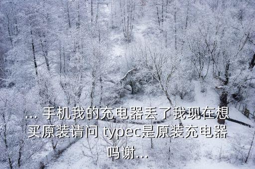 ... 手機我的充電器丟了我現(xiàn)在想買原裝請問 typec是原裝充電器嗎謝...
