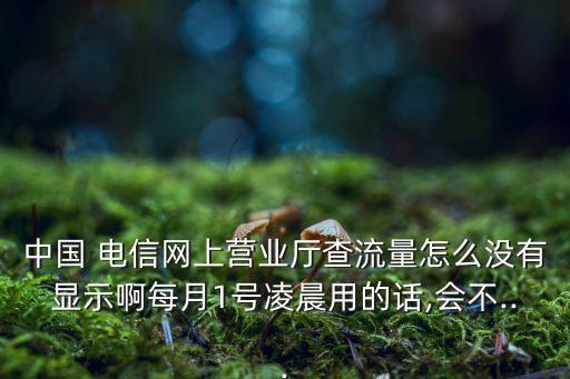 中國 電信網(wǎng)上營業(yè)廳查流量怎么沒有顯示啊每月1號凌晨用的話,會不...
