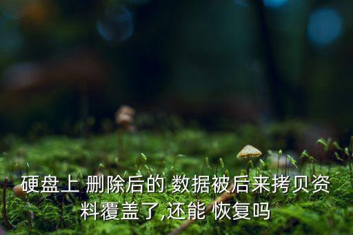電腦中刪除的數(shù)據(jù)可以恢復嗎