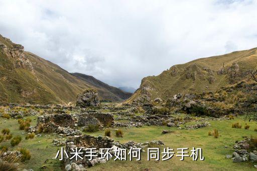 小米運(yùn)動數(shù)據(jù)如何同步的健康,小米手表運(yùn)動數(shù)據(jù)怎么同步到手機(jī)