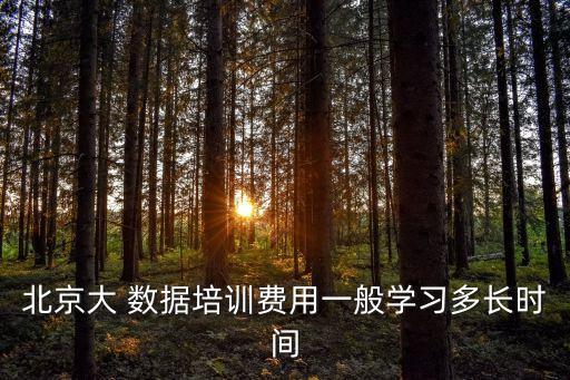 北京大 數(shù)據(jù)培訓(xùn)費(fèi)用一般學(xué)習(xí)多長時(shí)間